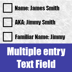 Multiple Entry text field
